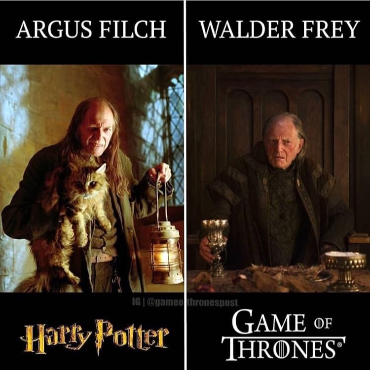 Actors in Both Harry Potter and Game of Thrones