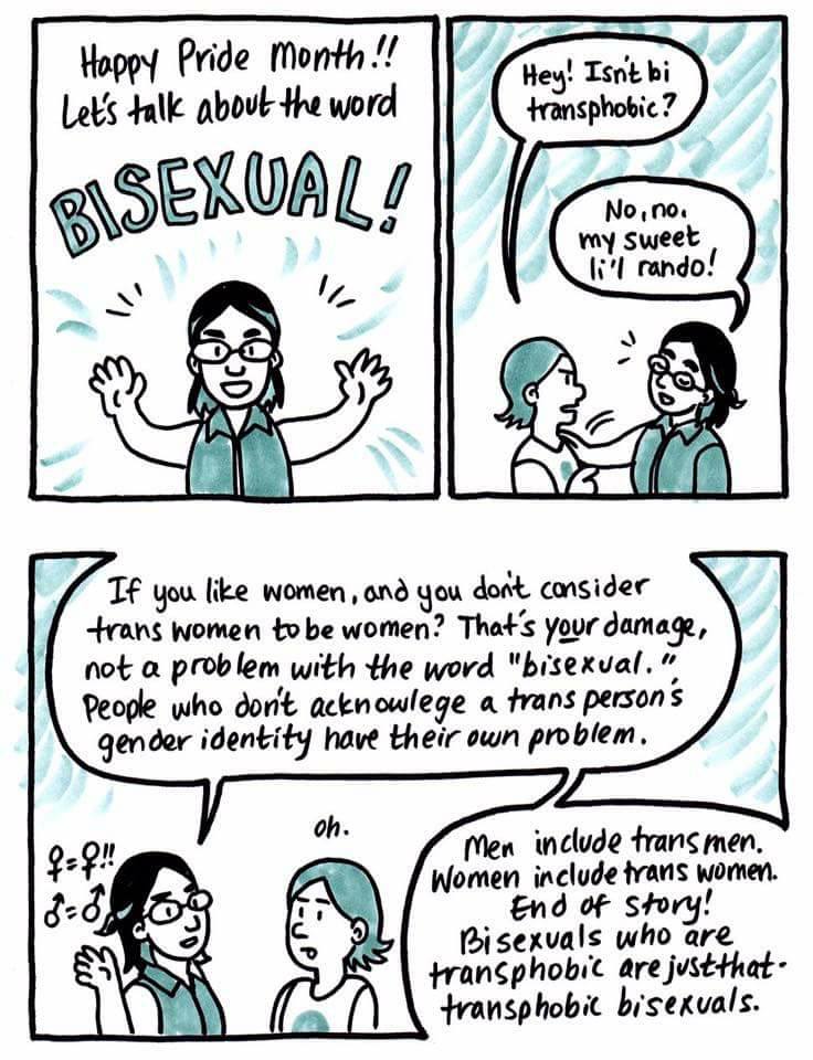 Bisexuality Comic