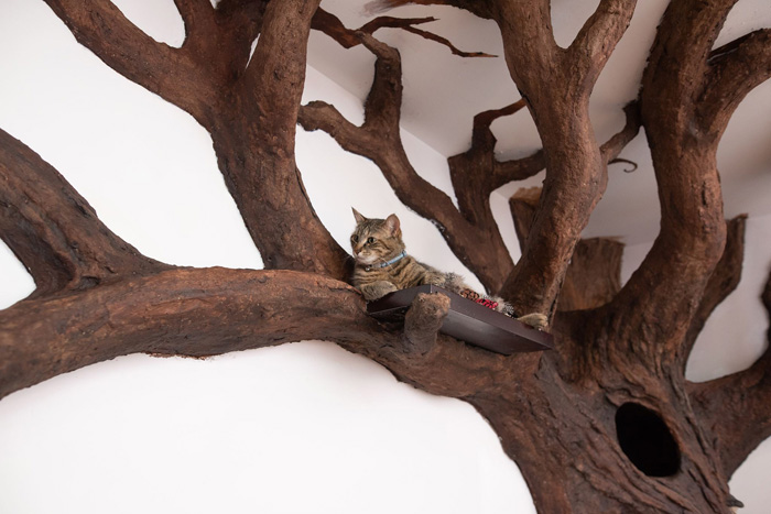 Custom Cat tree
