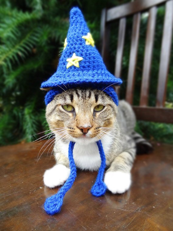 Crochet Wizard Cat Hat