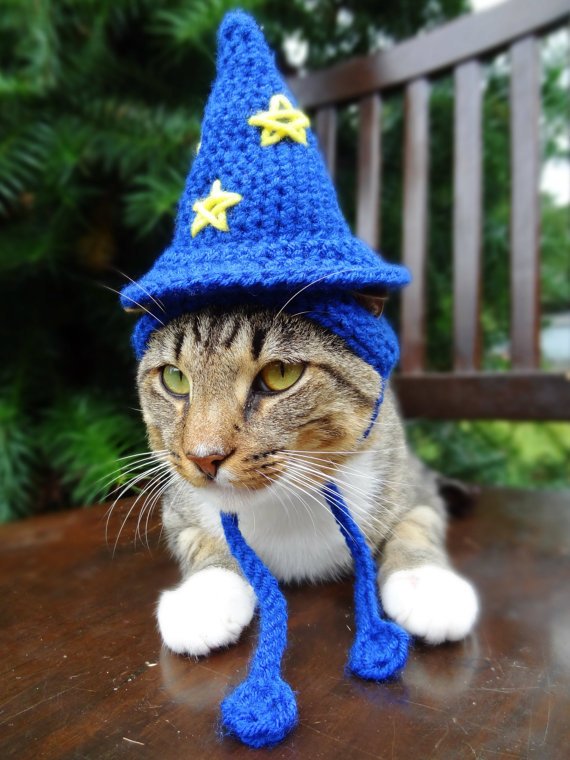 Crochet Wizard Cat Hat