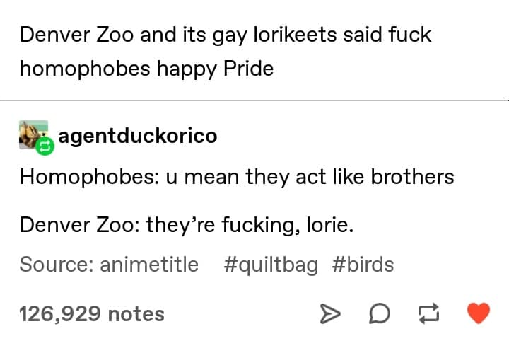 Denver Zoos Gay Birds