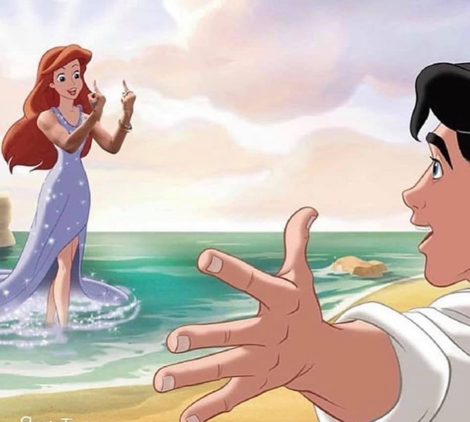 Disney Princesses Giving The Finger