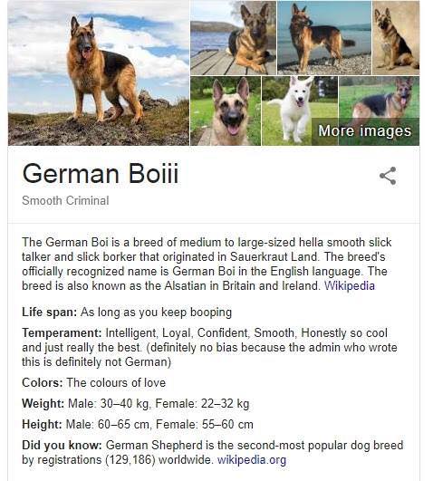  Accurate Doggo Descriptions