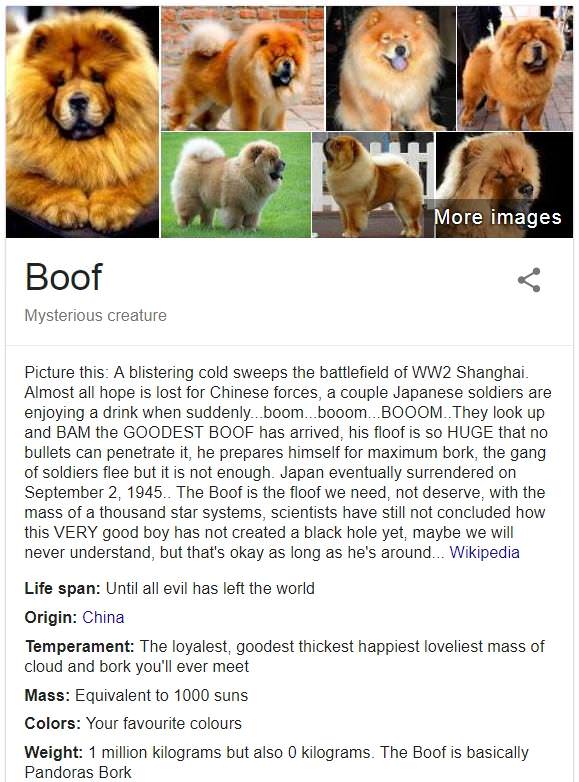  Accurate Doggo Descriptions