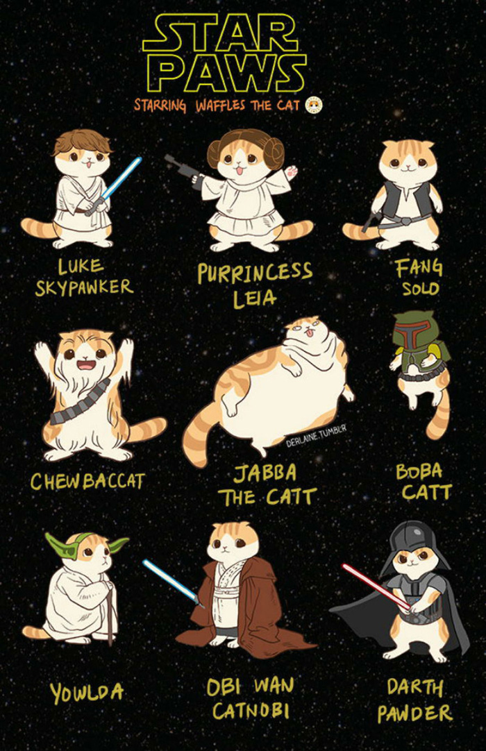Waffles the Cat as Geek Characters