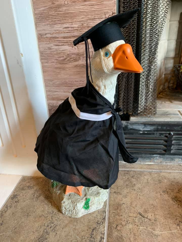 Thrift Store Goose Costumes