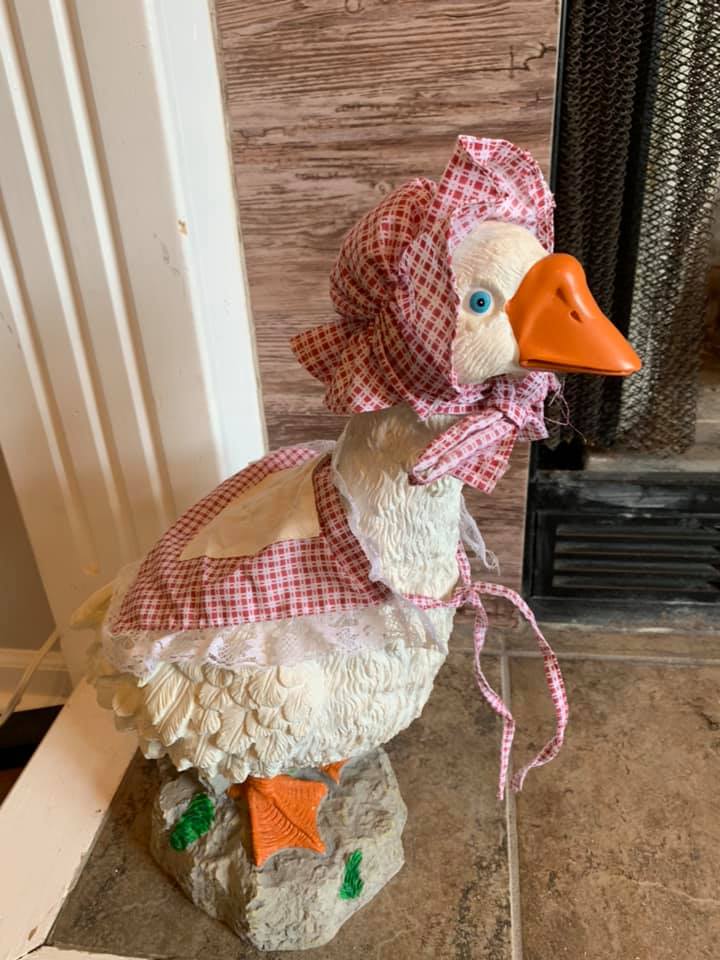 Thrift Store Goose Costumes