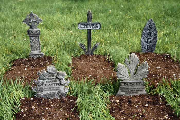 Herb Graveyard