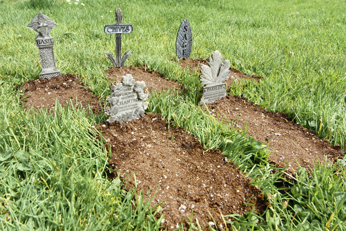 Herb Graveyard