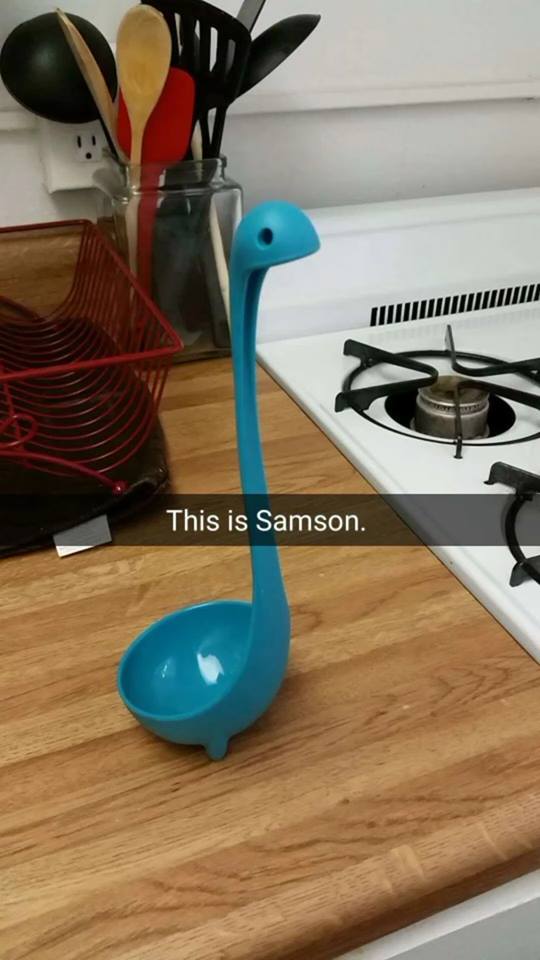 Meet Samson the Ladle