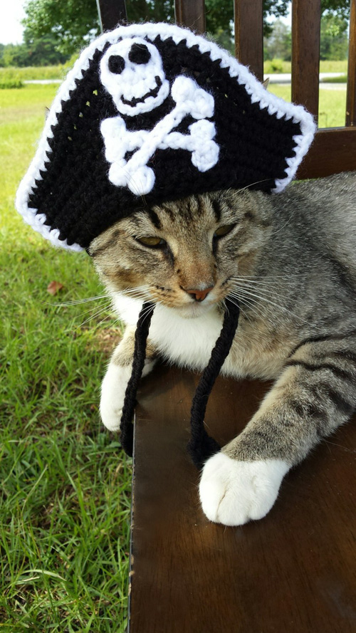 Crochet Pirate Hat for Cats & Dogs