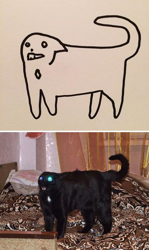 Poorly Drawn Cats