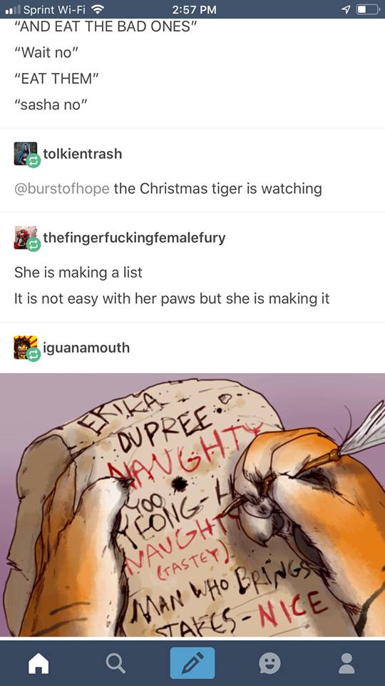 Sasha the Christmas Tiger