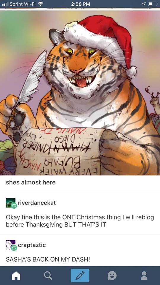 Sasha the Christmas Tiger