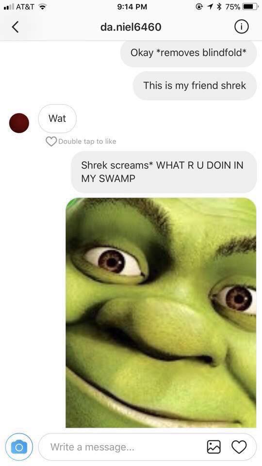 Shrek Roleplay