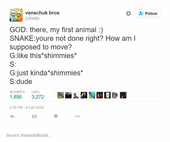 How God Created Animals
