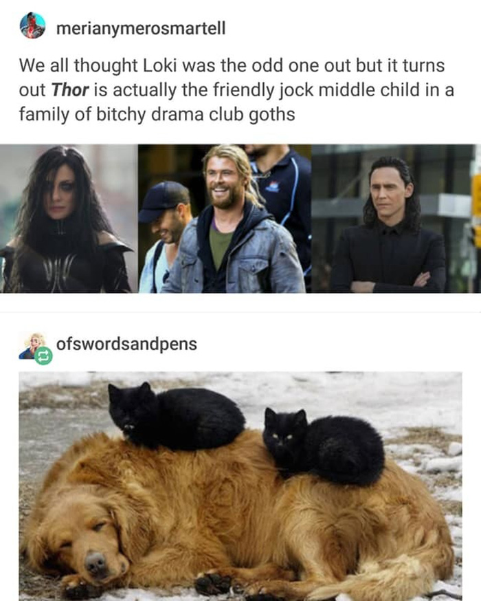 This Is How Old Thor & Loki Are in Human Terms