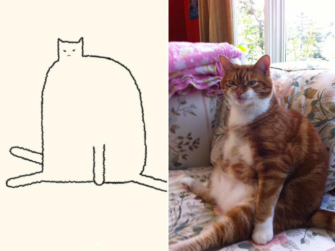 Accurate Cat Drawings