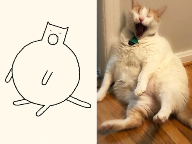 Accurate Cat Drawings