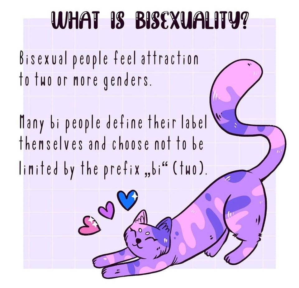 A Small Guide To Bisexuality And Pansexuality