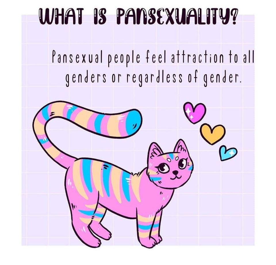 A Small Guide to Bisexuality & Pansexuality