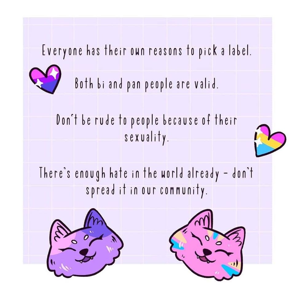 A Small Guide to Bisexuality & Pansexuality