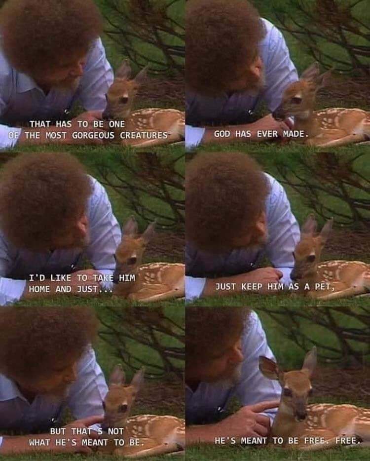 Bob Ross from The Joy of Painting Quotes