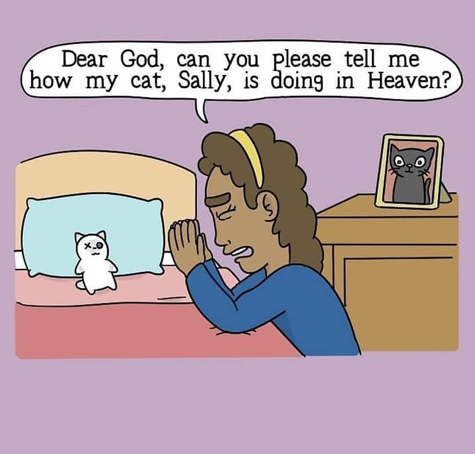 Cat Heaven Comic