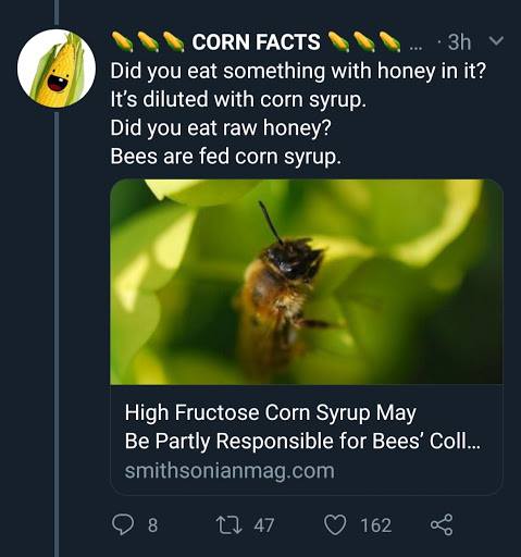 Everything is Made From Corn