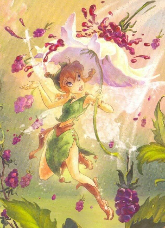 Disney Fairies Book Art