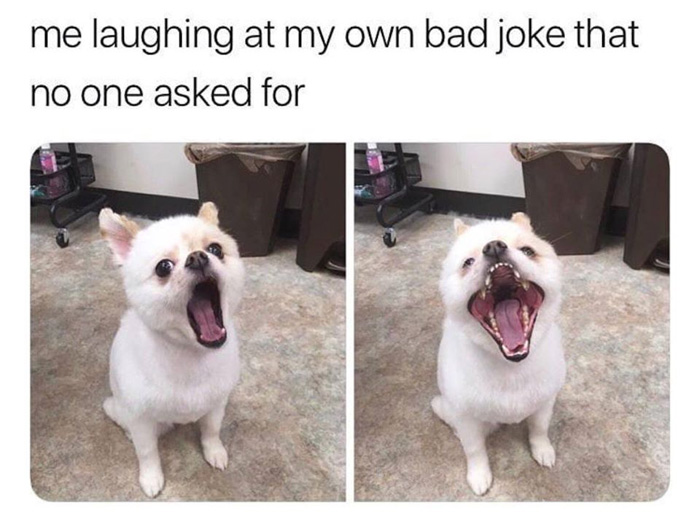 Wholesome Doggo Memes