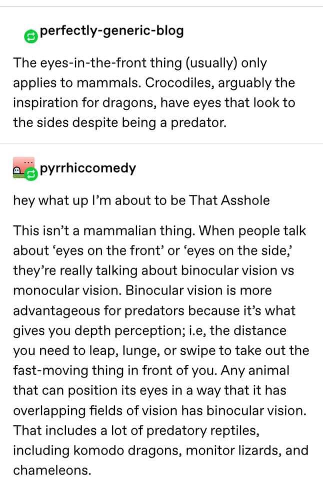 A Terrifying Thought About Dragon Eyes