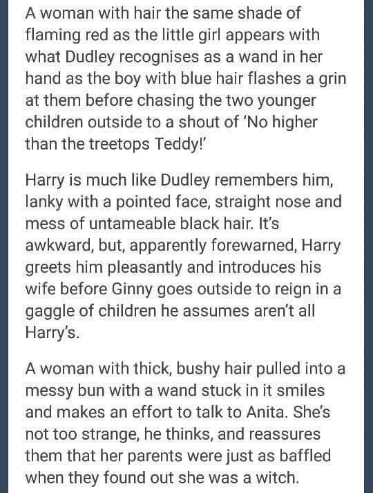 If Dudley from Harry Potter Had a Magical Child
