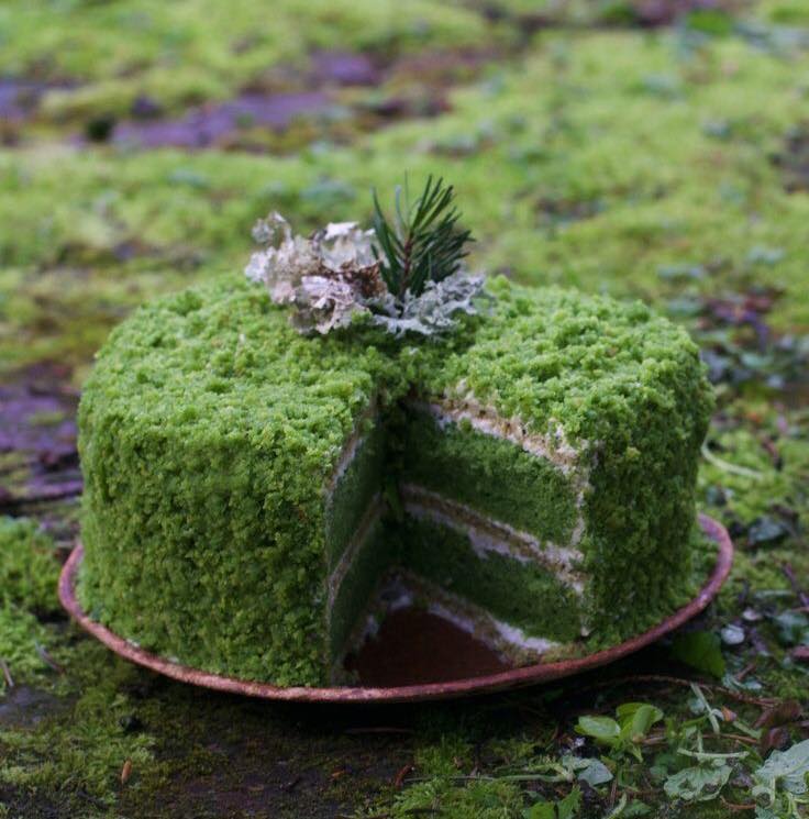 Forest Cakes