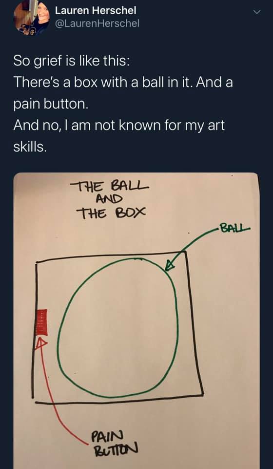Explaining Grief With the Ball and the Box