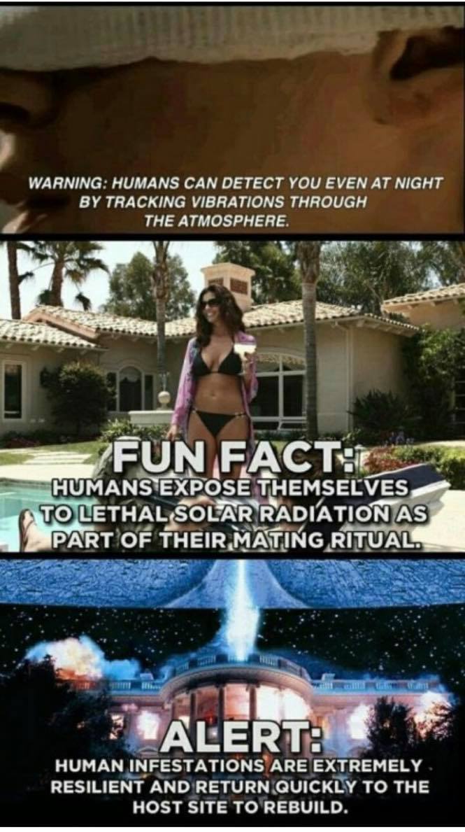 Humans are Space Orcs -  Facts