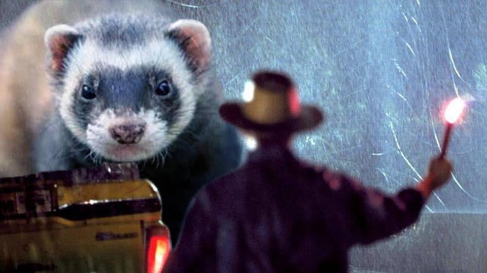 Jurassic Park but With Ferrets Instead of Dinosaurs