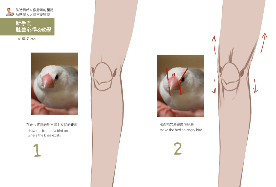 How to Draw Knees