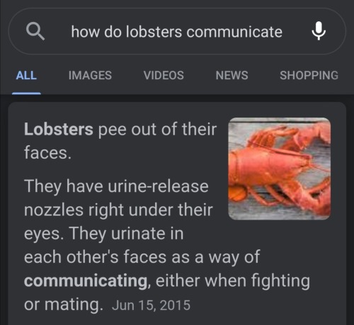 How Lobsters Communicate