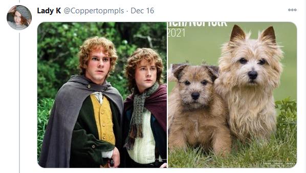 Lord of the Rings Characters as Dogs