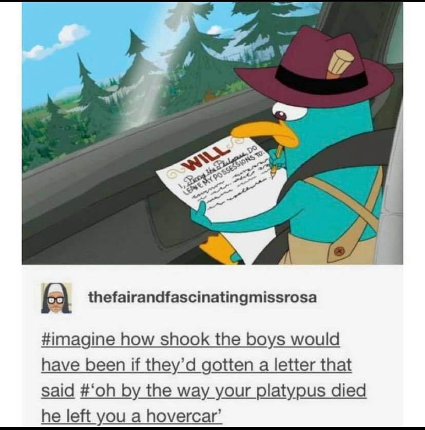 Phineas and Ferb Memes