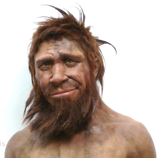 Facial Reconstruction of Prehistoric Humans