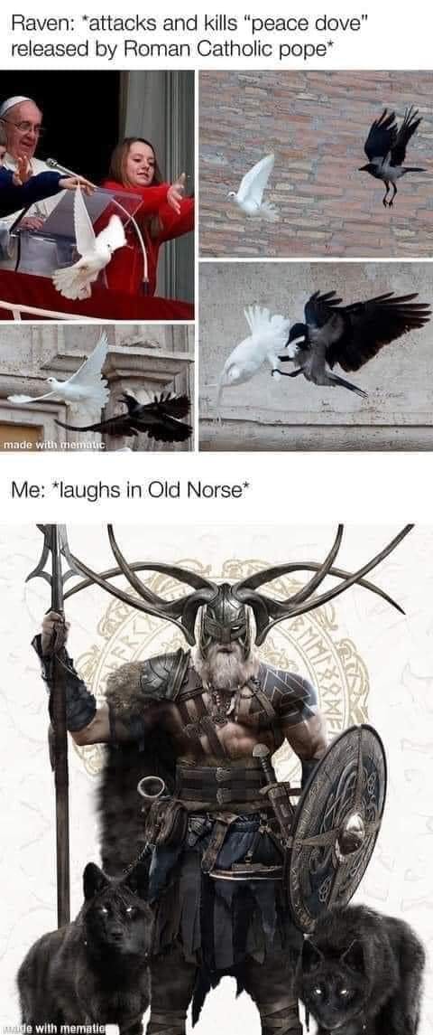 Odin Meme