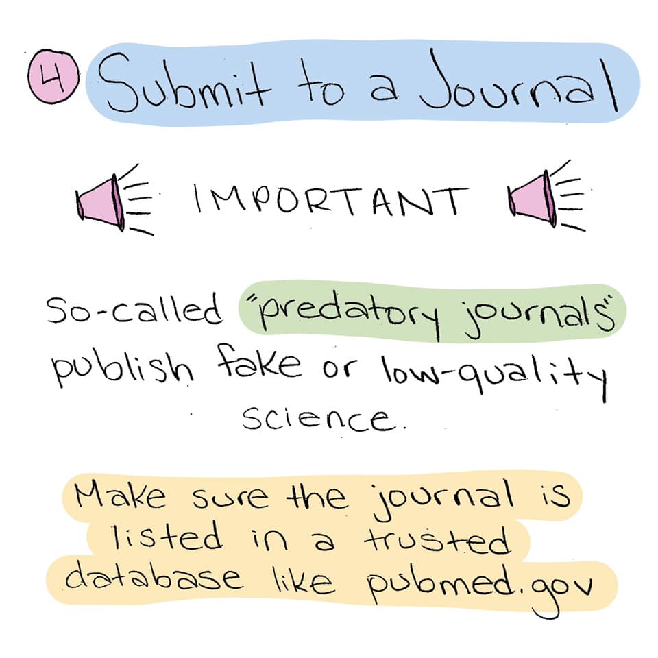 The Long Road To Publishing A Scientific Paper
