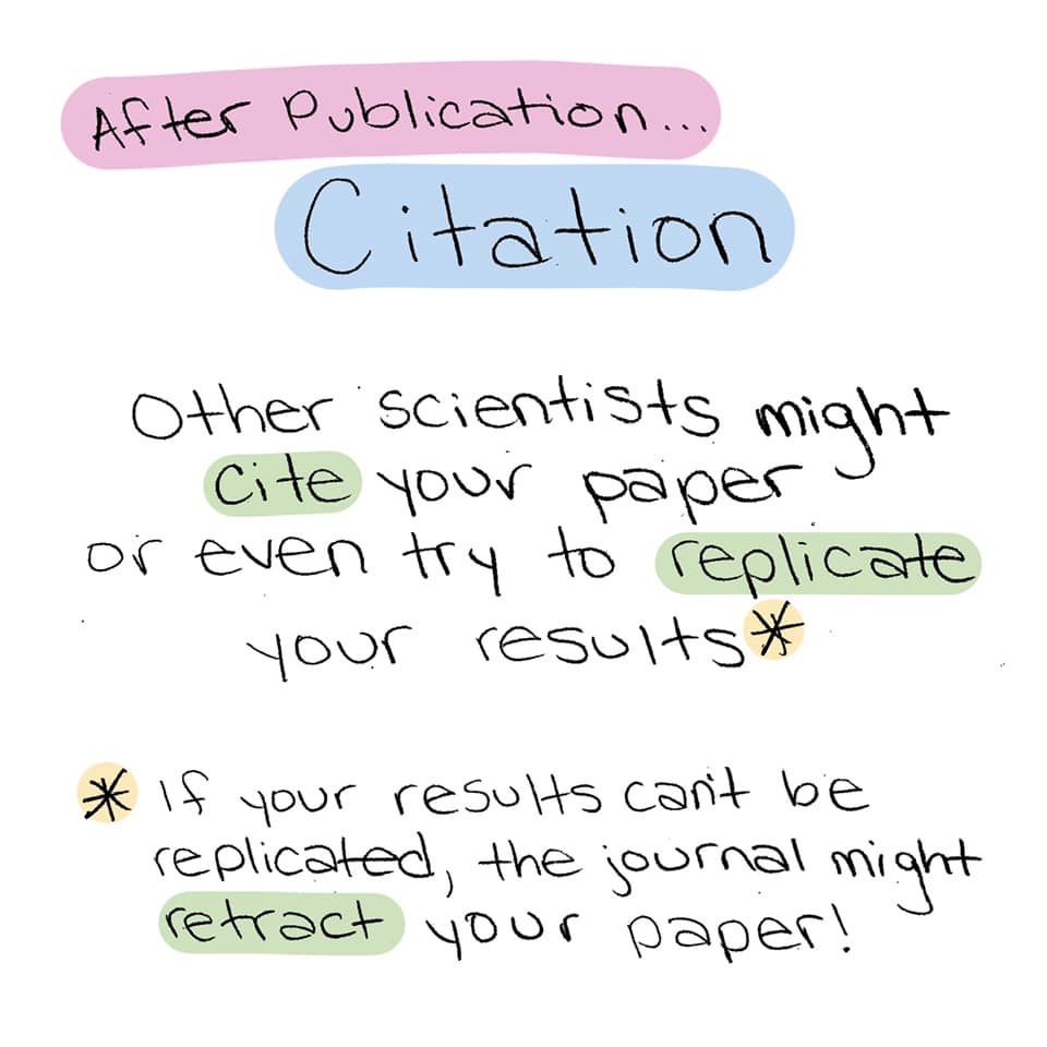 The Long Road To Publishing A Scientific Paper