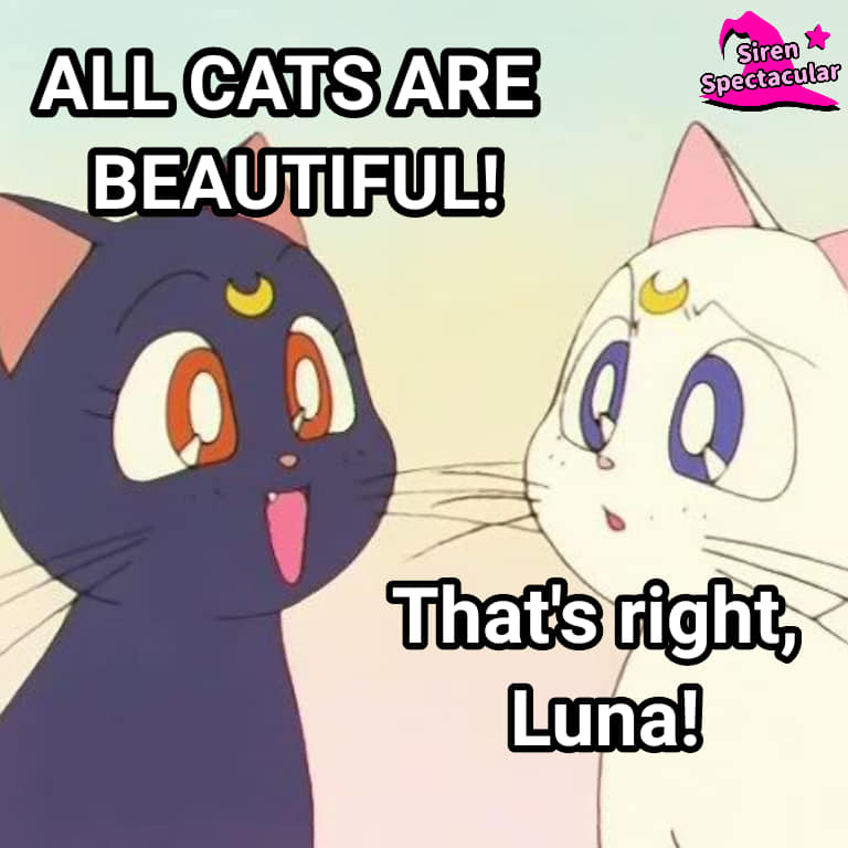 Sailor Moon Social Justice Memes