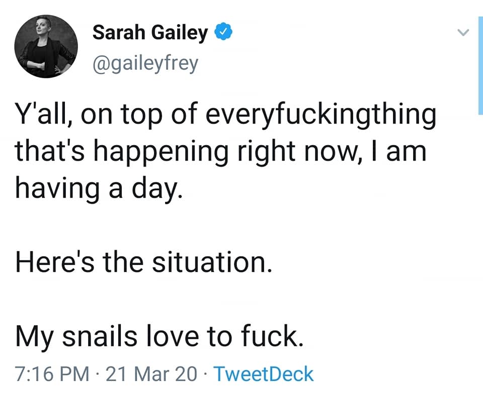Snails that Love to Fuck