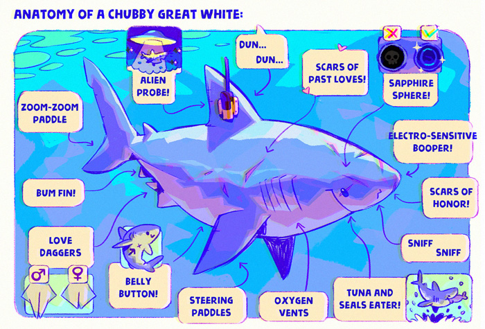 Sweet Sharks Anatomy Art