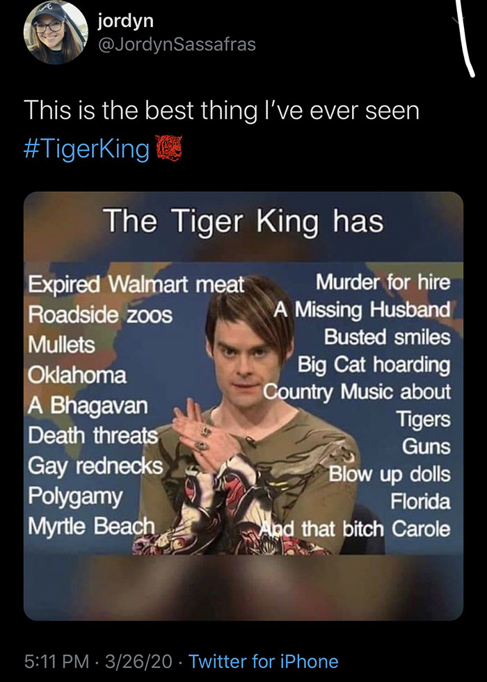 Tiger King Memes